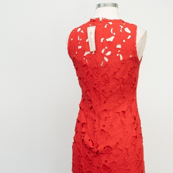 Shoshanna. Vivienne Lace Dress. - Picture 9 of 14